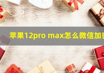 苹果12pro max怎么微信加密